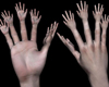 multihand